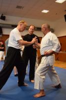Bild (31)